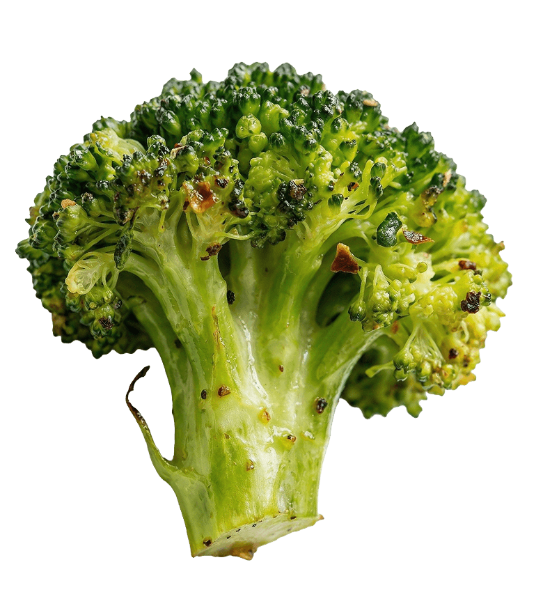 Juicy broccoli floret