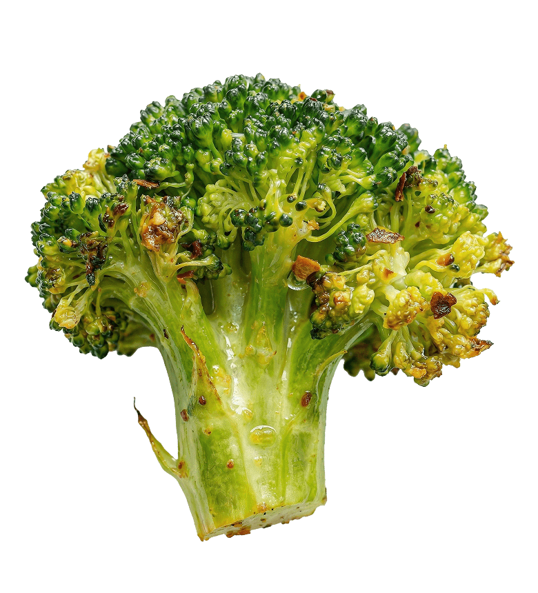 Tender broccoli floret