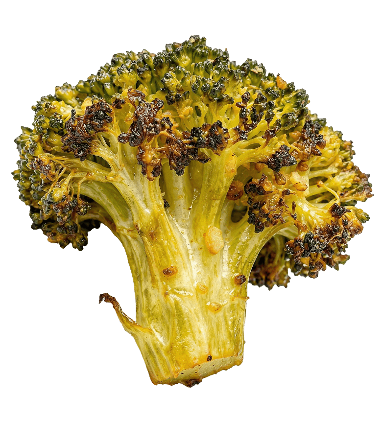Crunchy broccoli floret